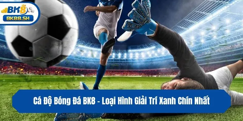 Cá Độ Bóng Đá BK8 - Loại Hình Giải Trí Xanh Chín Nhất 9 Cá Độ Bóng Đá BK8 - Loại Hình Giải Trí Xanh Chín Nhất