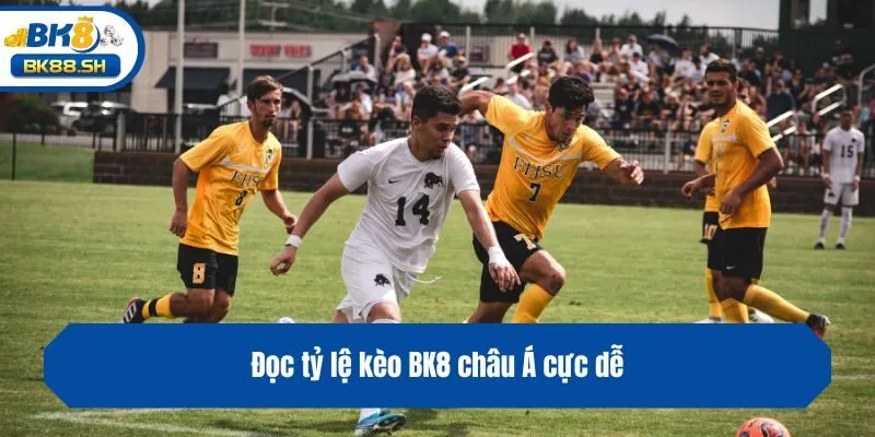 Top 3 Tỷ Lệ Kèo BK8 Dễ Chơi, Tỷ Lệ Ăn Thưởng Cực Khủng 2 Đọc tỷ lệ kèo BK8 châu Á cực dễ
