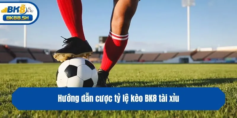 Top 3 Tỷ Lệ Kèo BK8 Dễ Chơi, Tỷ Lệ Ăn Thưởng Cực Khủng 3 Hướng dẫn cược tỷ lệ kèo BK8 tài xỉu